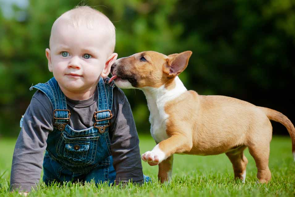 Picture of a boy and a puppy in backyard