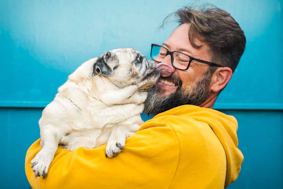 Picture of man holding a pug