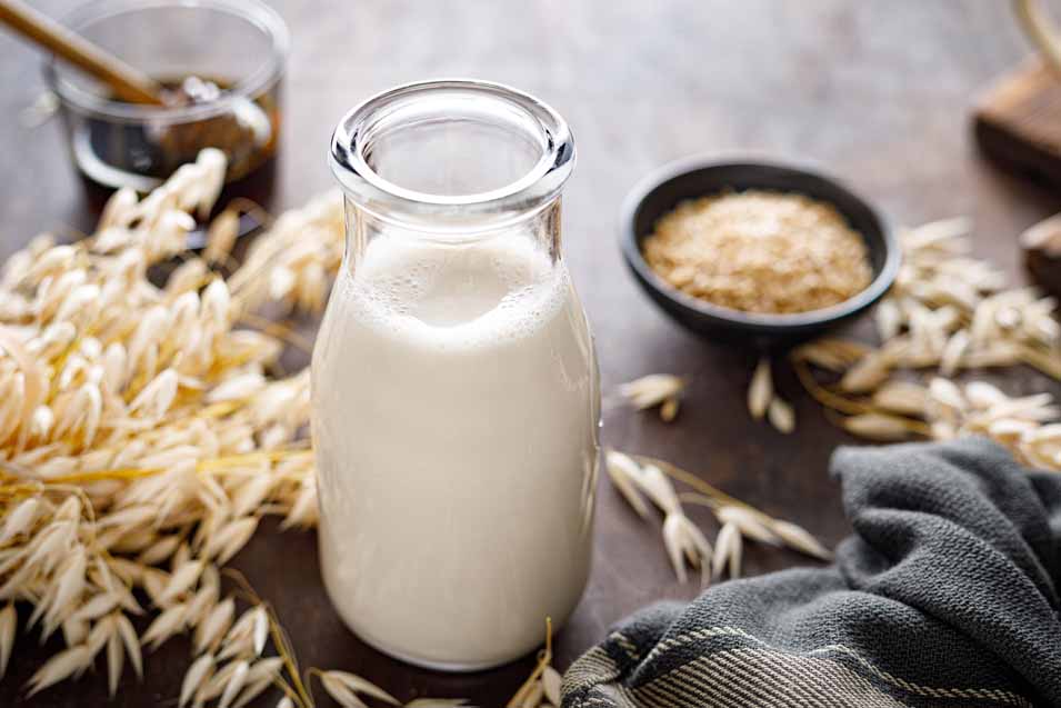 unsafe ingredients in oat milk for cats