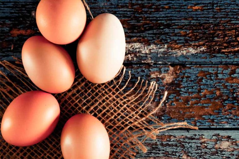 Can Cats Eat Eggs Raw or Cooked