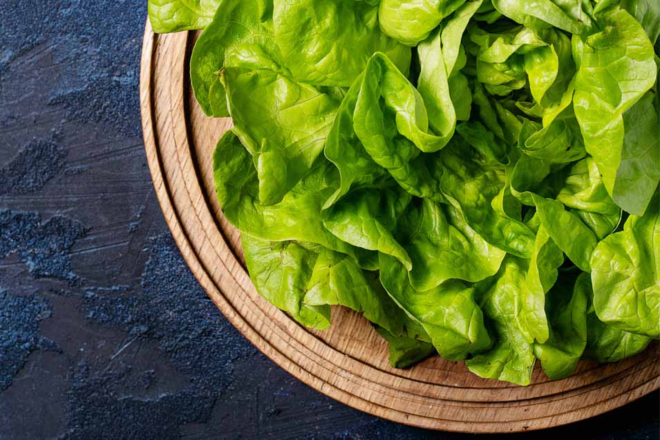 Can lettuce be dangerous for cats