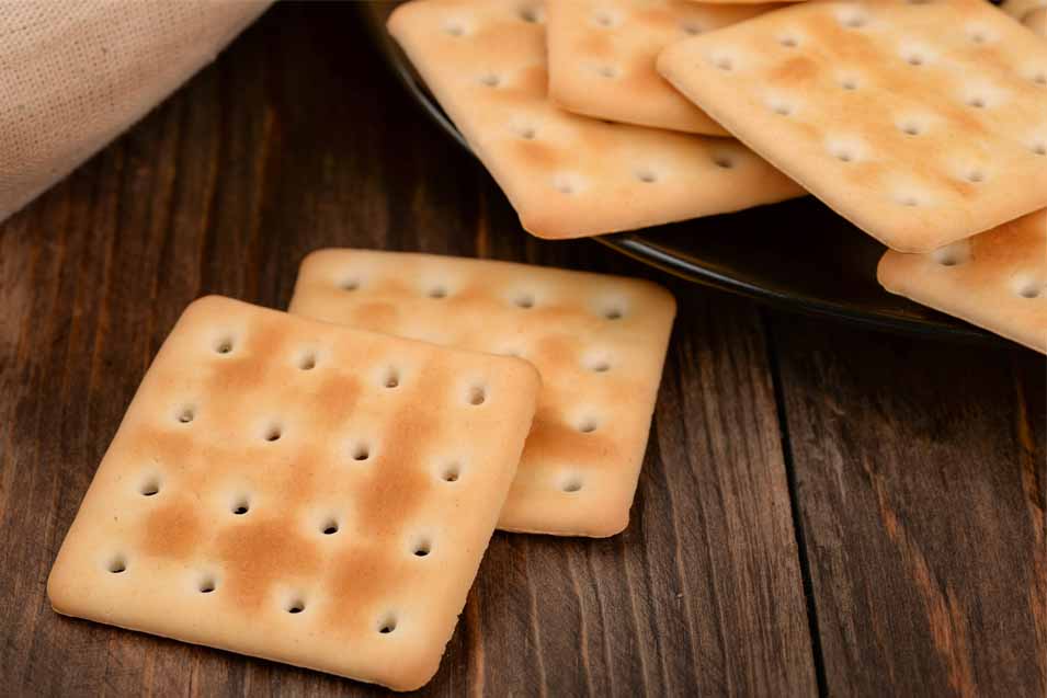 Can Dogs Eat Saltine Crackers - Pet Friendly House