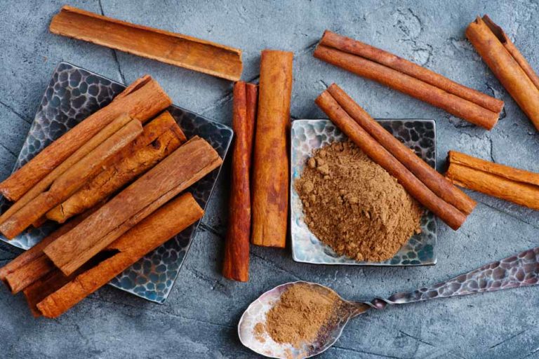 Can Cats Have Cinnamon Pet Friendly House