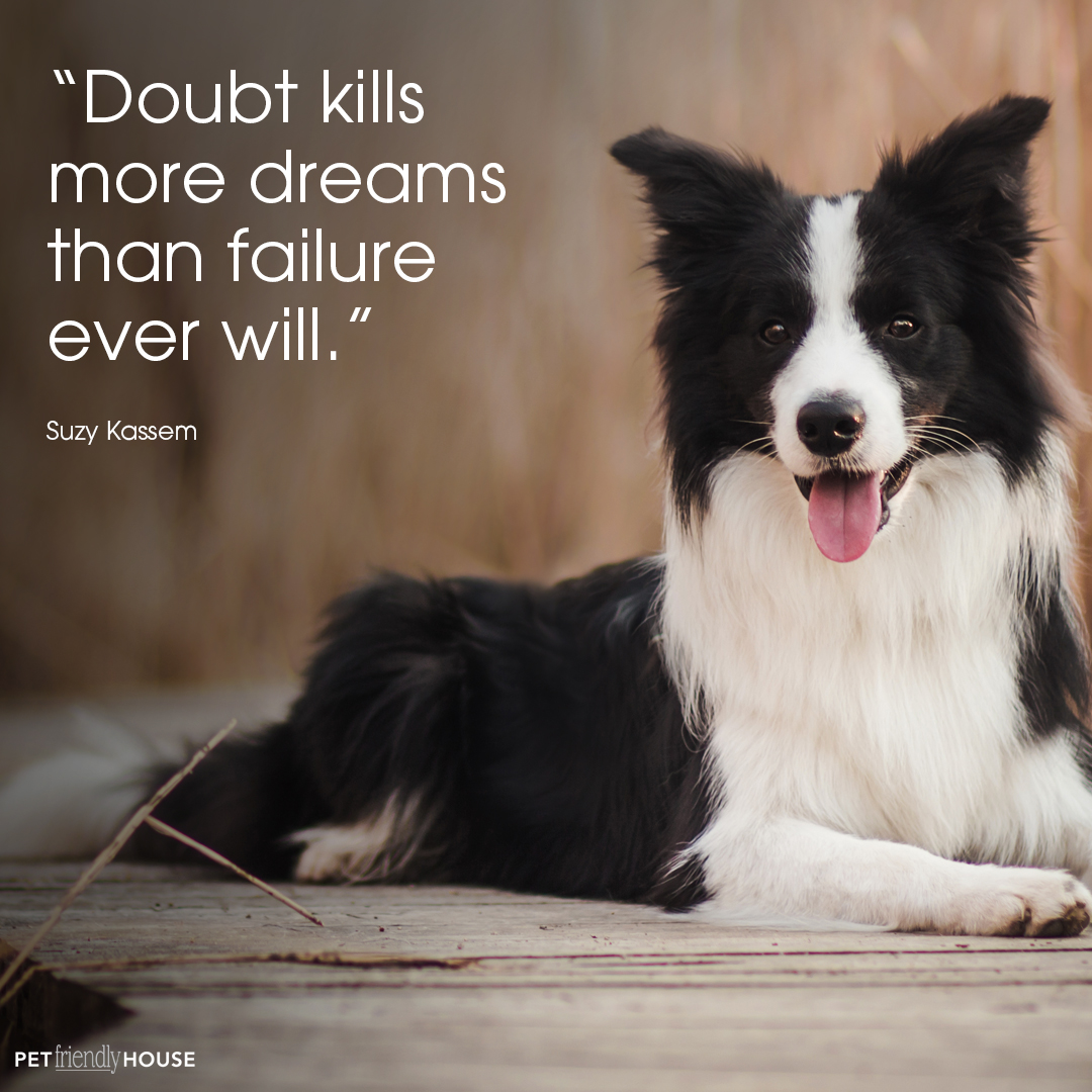 doubt kills more dreams