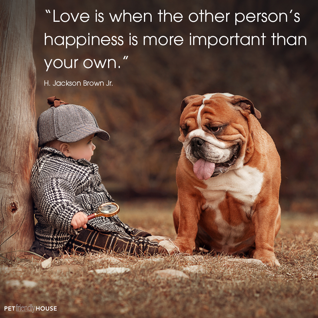 Love Quotes - Pet Friendly House