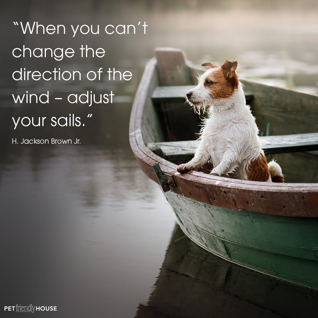 wind in your sails