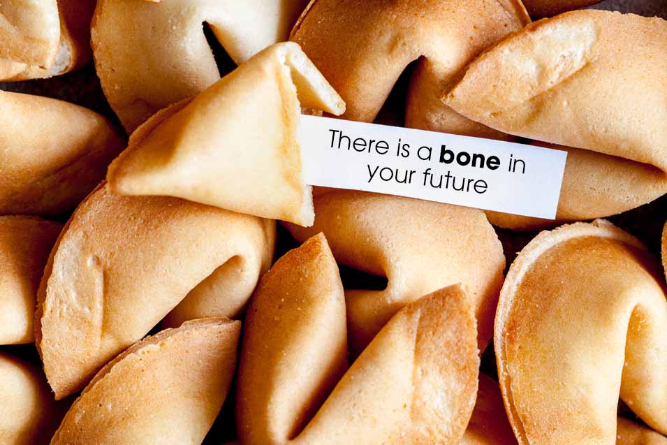 Picture of fortune cookies