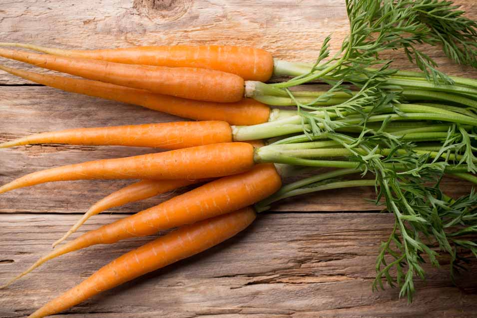 Picture of carrots