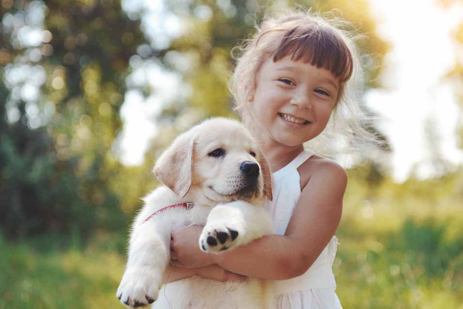 Picture of a girl holding a puppy