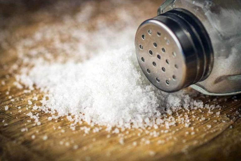 Sodium for Dogs Pet Friendly House