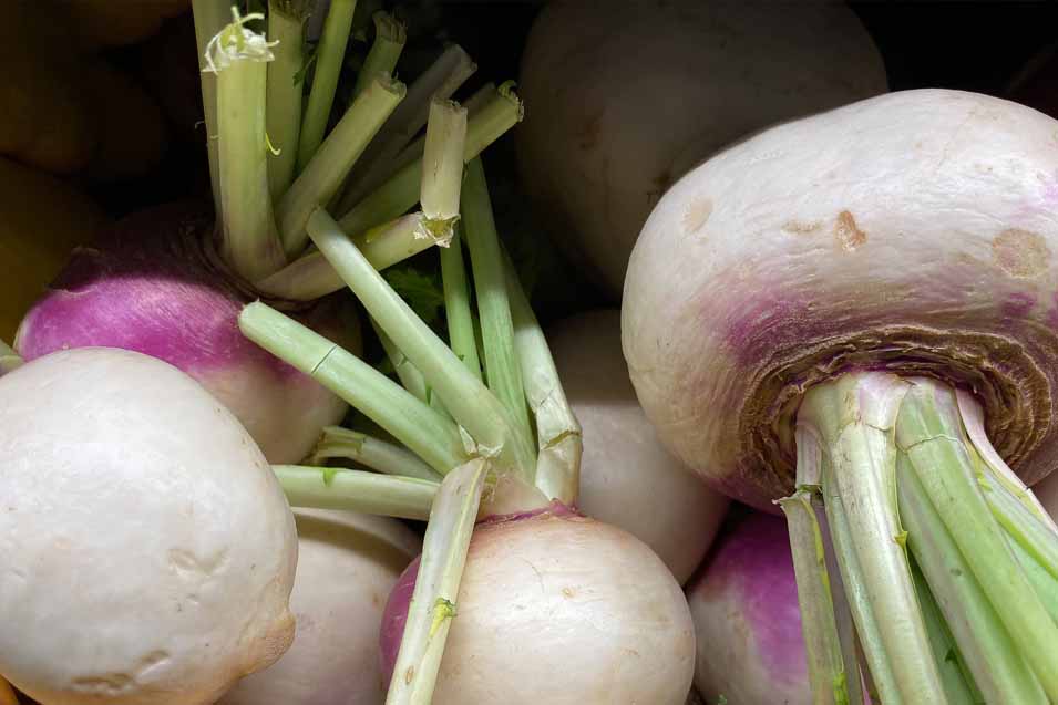 picture of turnips