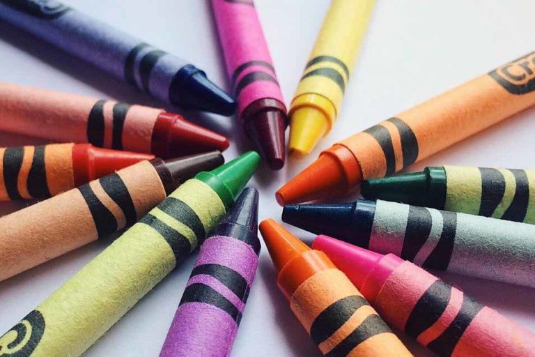 My Dog Ate Crayons Pet Friendly House