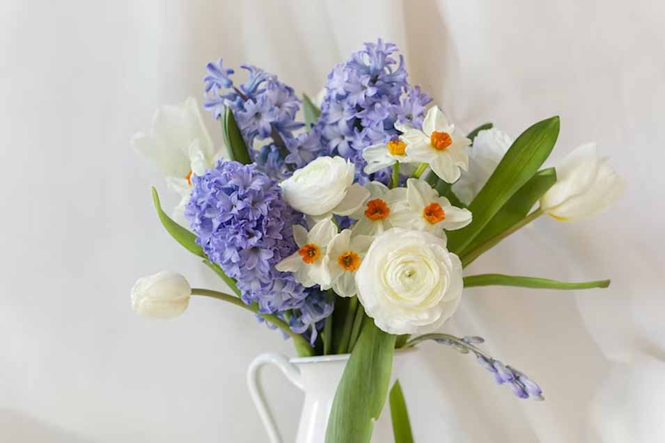 10 Flowers Toxic to Cats Pet Friendly House