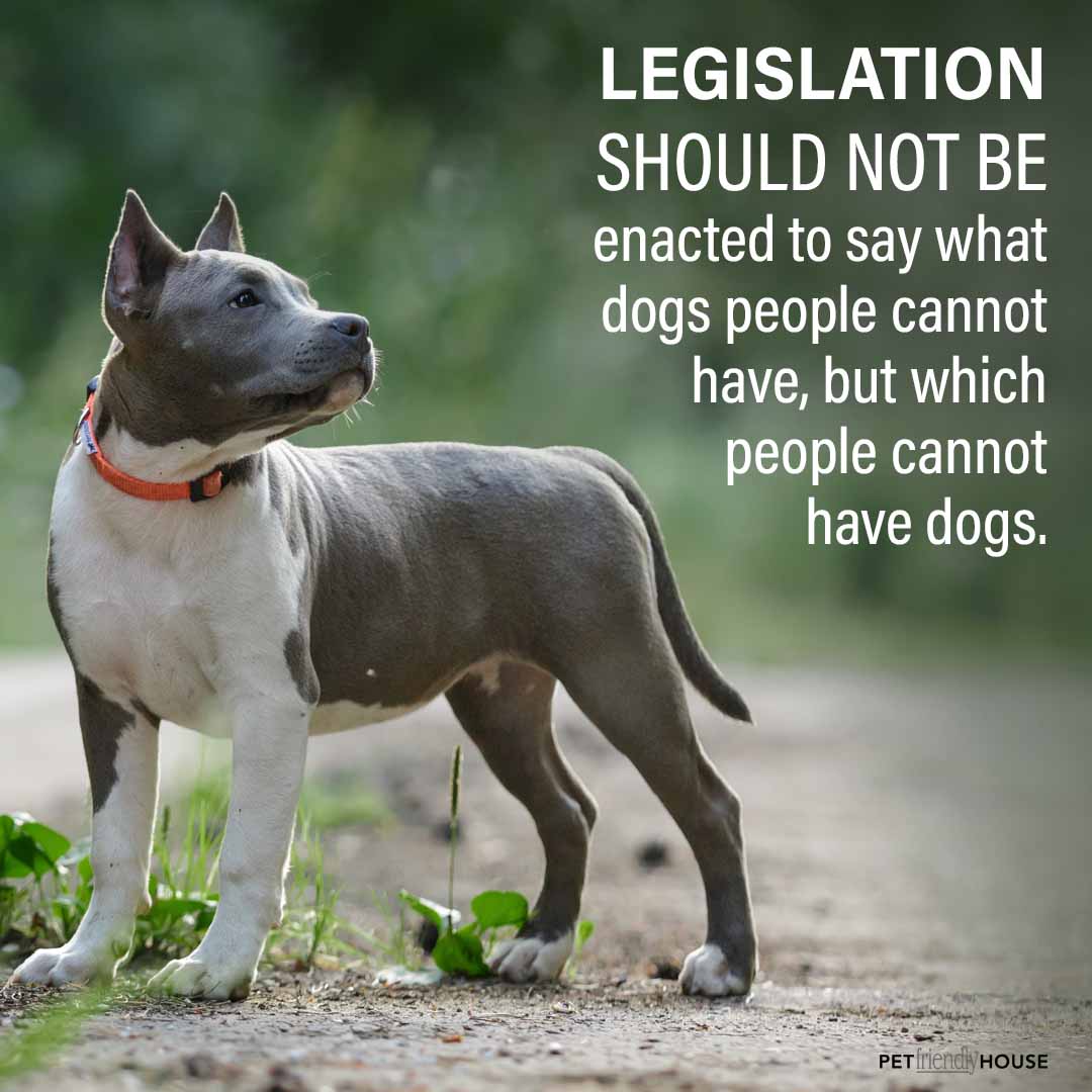 pit bull legislation