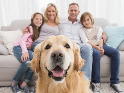 Dog and Family