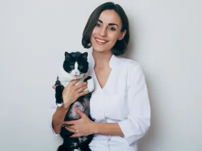 Cat and a veterinarian