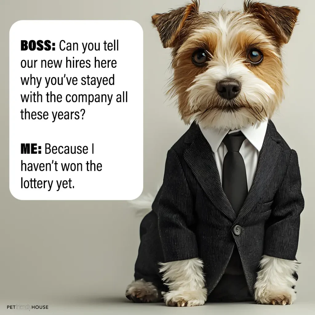 dog in a suit