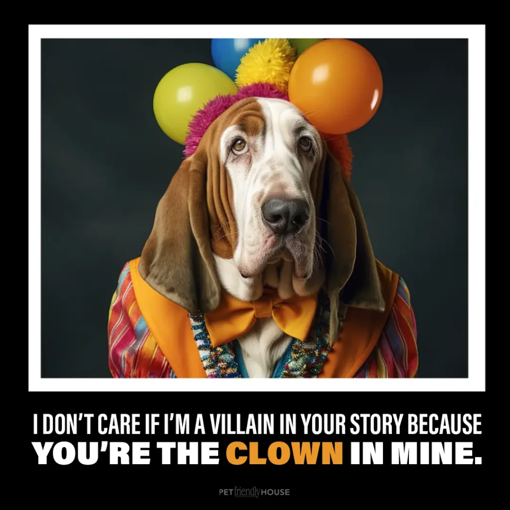dog dressed as a clown