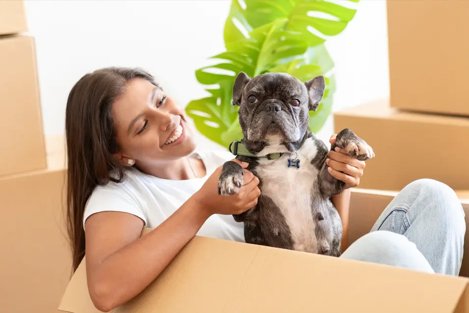 Dog and dog in a box
