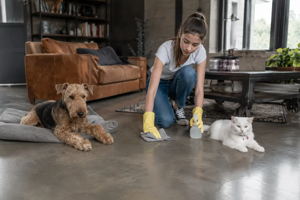 Teenage girl cleaning a polished concrete floor in an industrial-style living room while an Airedale Terrier relaxes on a dog bed and a white cat lounges nearby, illustrating pet-friendly home cleaning and maintenance.