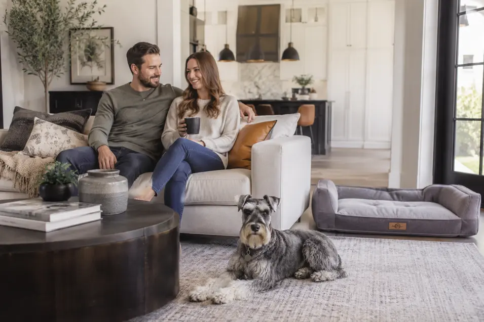 Man and woman relaxing in a bright transitional-style living room with a Standard Schnauzer resting on a large area rug, showcasing an elegant, pet-friendly home designed for both comfort and style.