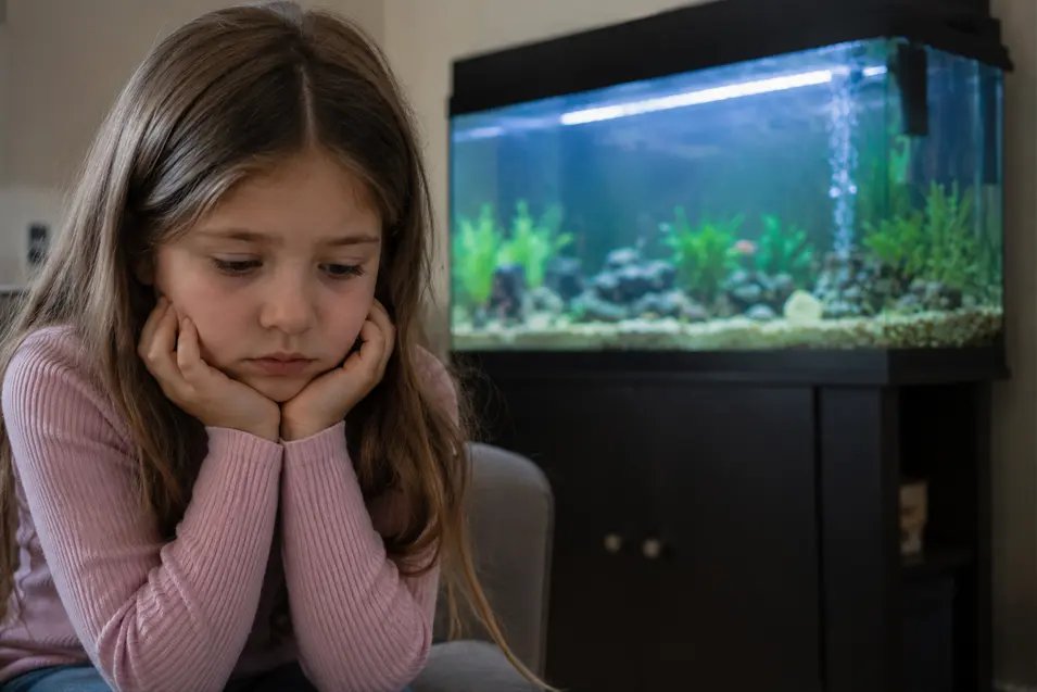 Young girl looking sad in front of a home aquarium, reflecting on the loss of a pet fish in a quiet family setting.