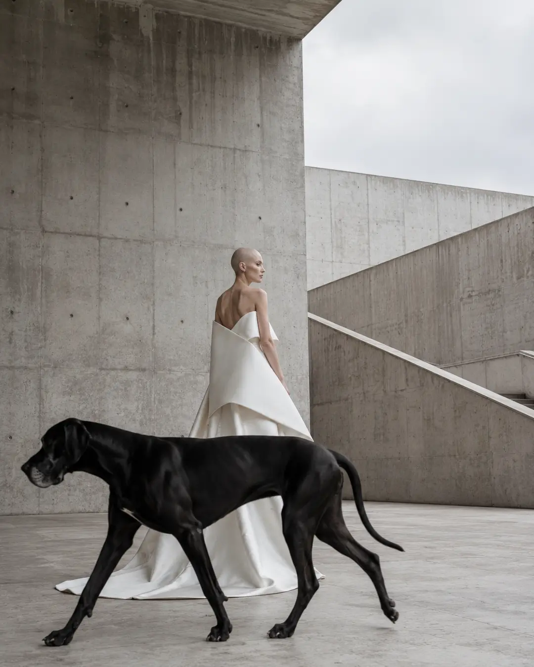 A bride in a sculptural white gown stands amid stark concrete architecture as a sleek black dog strides across the dramatic minimalist scene.