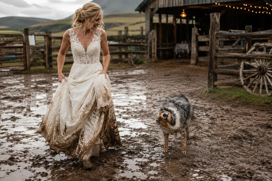 A joyful bride lifts her muddy lace gown as her soaked dog shakes off beside her in a rain-soaked country farmyard surrounded by rustic scenery.