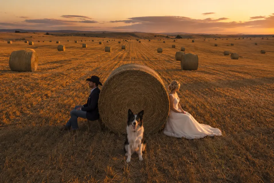 A newlywed couple rests against a hay bale at sunset while their Border Collie sits nearby, surrounded by a vast golden country harvest field.