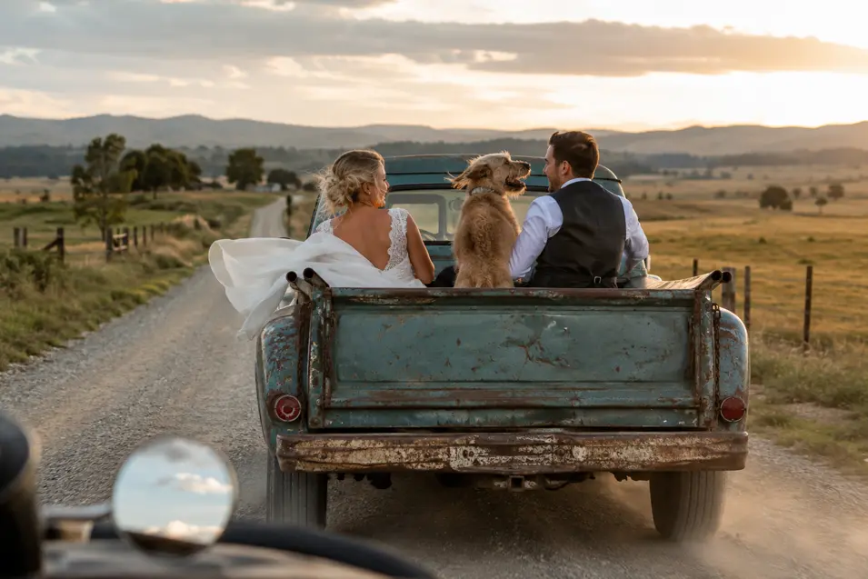 A newlywed couple and their dog ride in the back of a vintage pickup along a country road at golden-hour sunset.