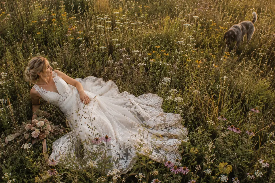 A bride relaxes among sunlit country wildflowers, her lace gown flowing through the meadow as her dog wanders nearby in the warm golden light.
