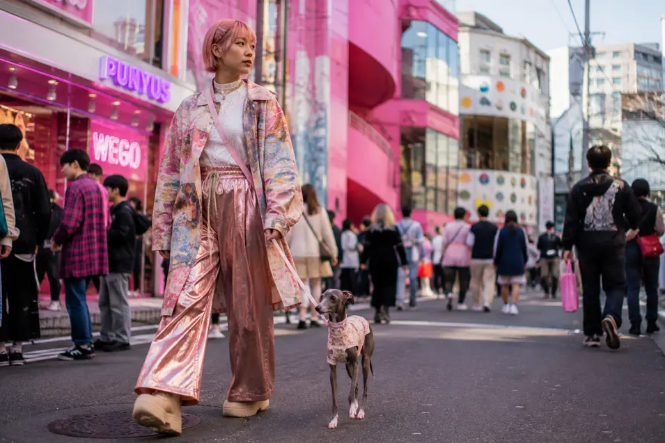 A fashionable woman in pink walks a small Italian Greyhound through a vibrant, bustling shopping district in Japan.