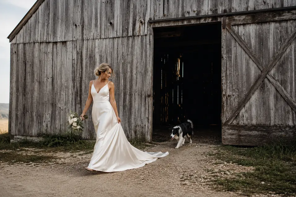 A bride in a flowing white gown walks beside a weathered country barn as a Border Collie trots out behind her.