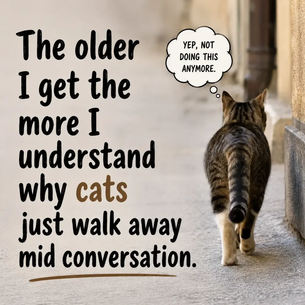 Funny cat walking away with the caption: "The older I get, the more I understand why cats just walk away mid-conversation." Perfect for cat lovers with a sense of humor.